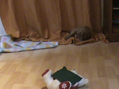 partie de cache cache