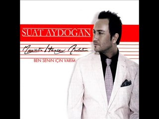 Suat Aydoğan - Kurşuni Renkler