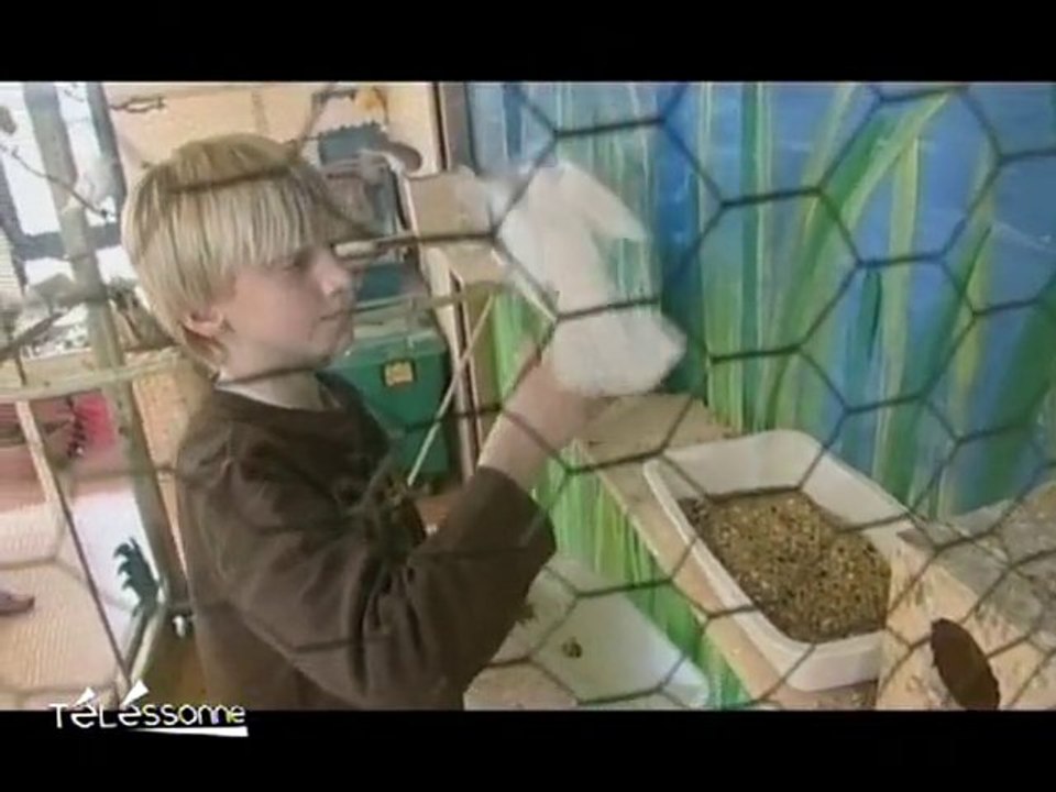 La Maison des Enfants et de la Nature à Grigny