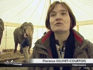 Le Festival International du Cirque de Massy se prépare