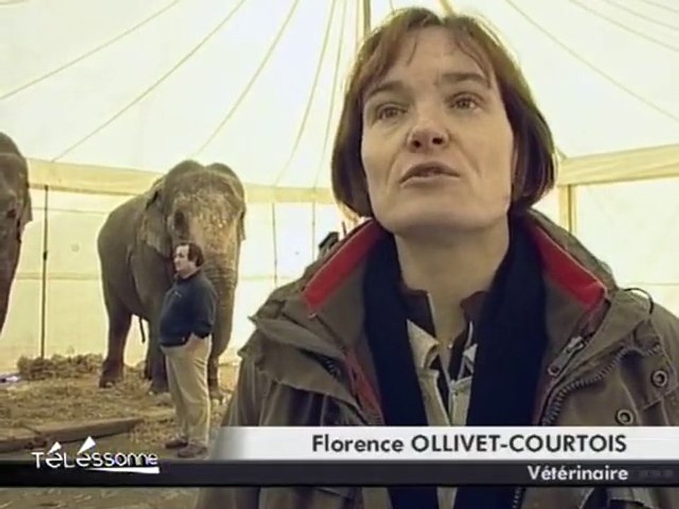 Le Festival International du Cirque de Massy se prépare