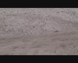 Karda Keklik         Linda-Mek