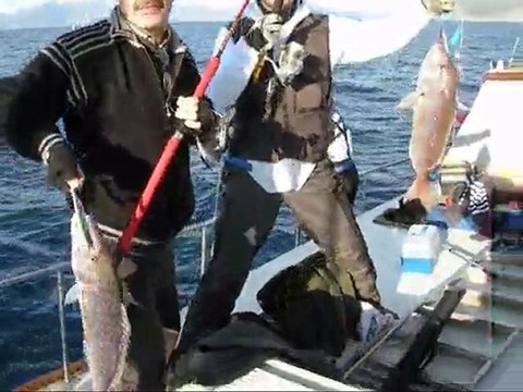 amatorbalikavi.com marmaris jigging balık avı turu