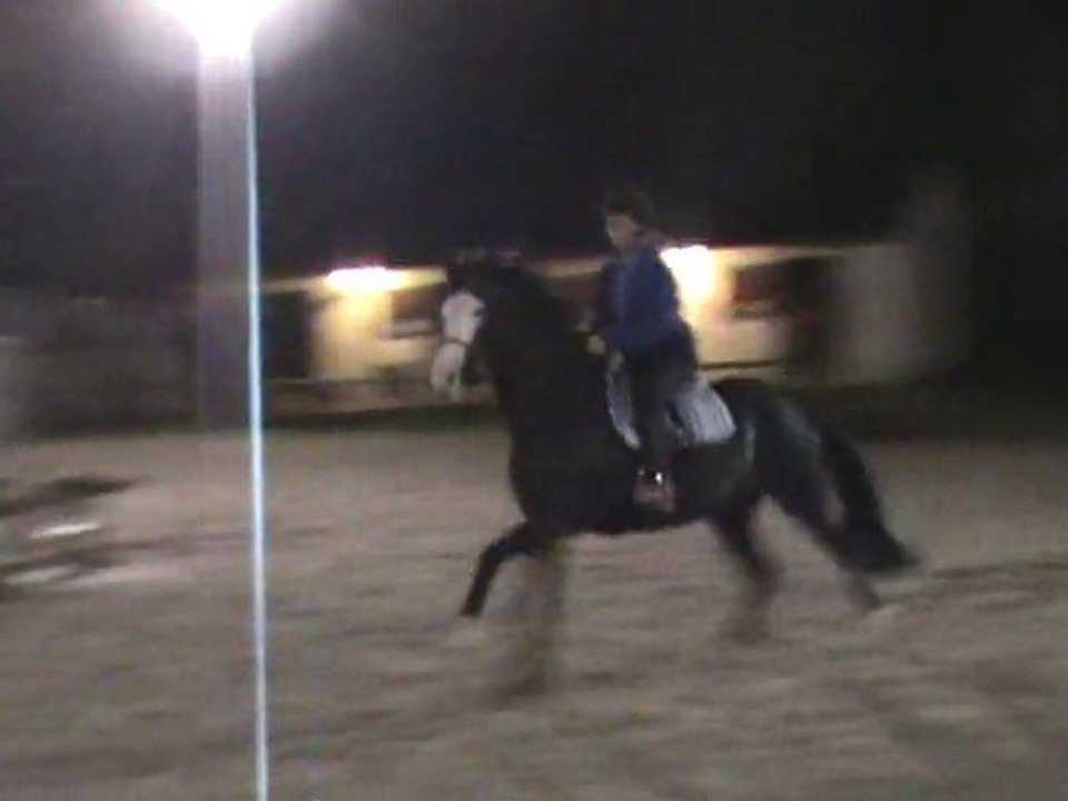 Piou saut 4