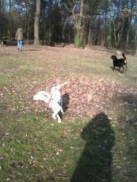 bubba et sally