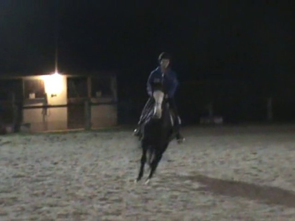 Piou saut 11