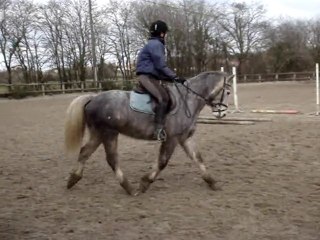 Skwerenn 23/01/2011