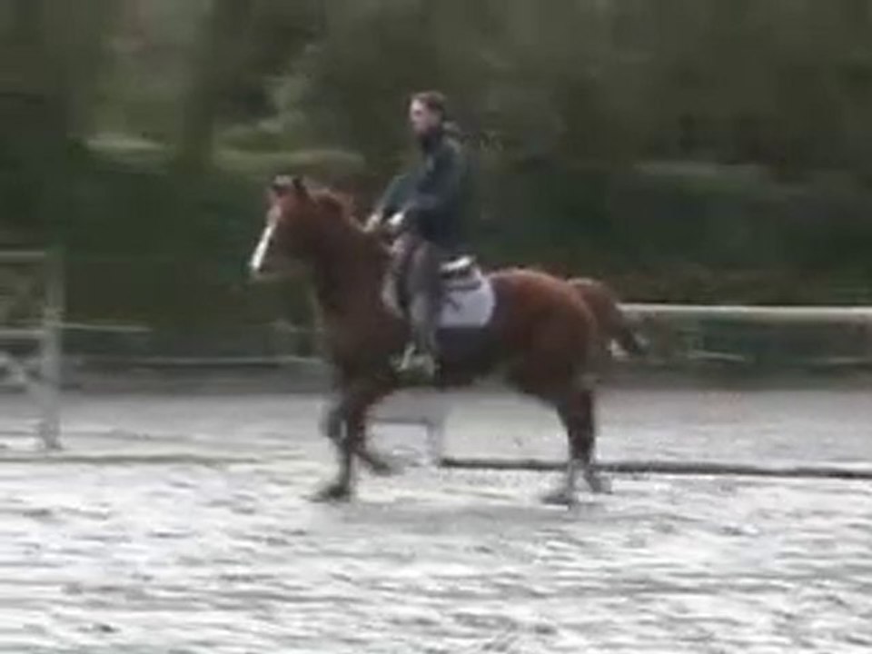 ThevadeKervel_17janv2011