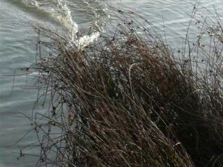 premier test de mon moteur hors bord en 3S A123