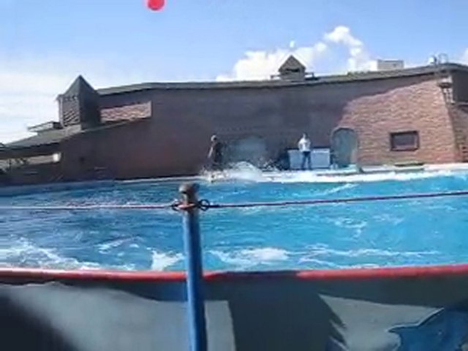 аквапарк