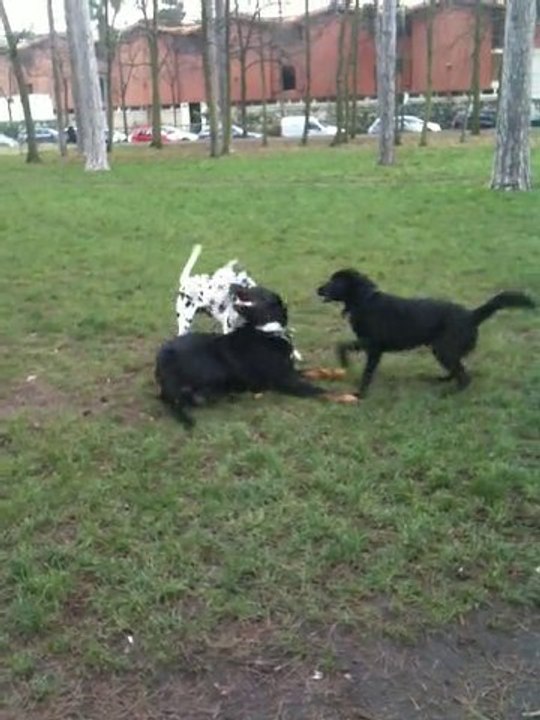 bubba et mouss