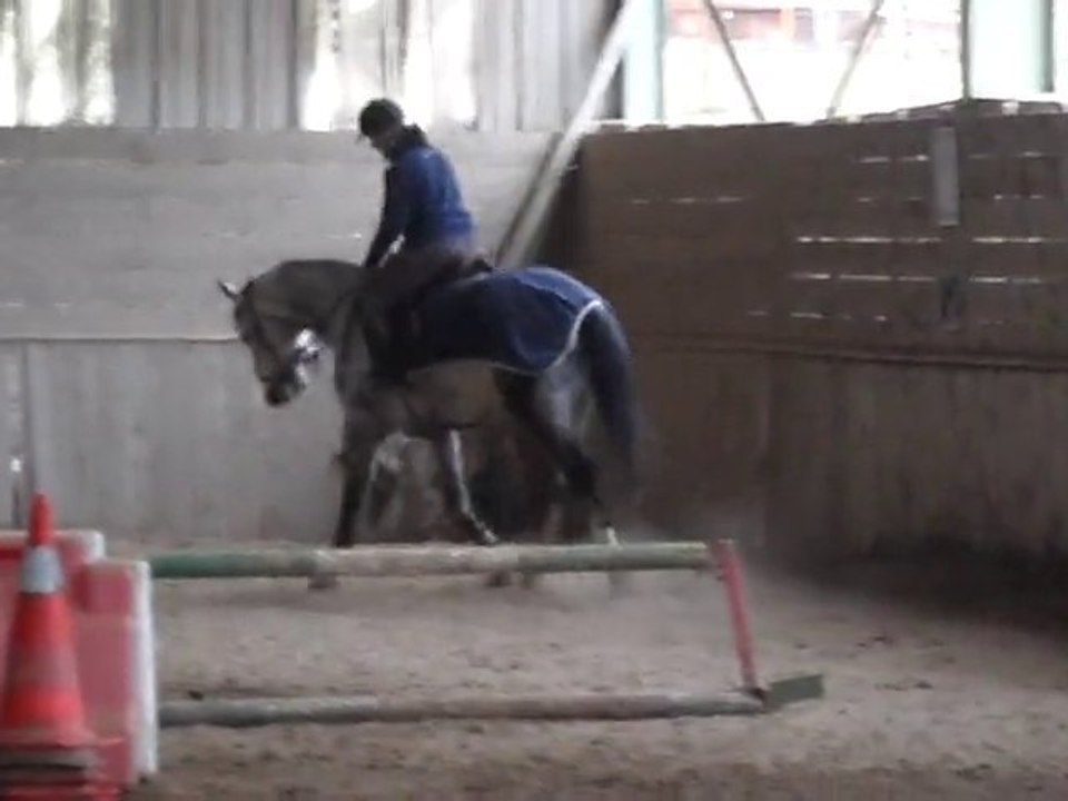 Cours Isa et Pantcho 23.01.10