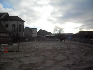 Eagle et moi sur 90 cm, 1 foulés et 110 cm.