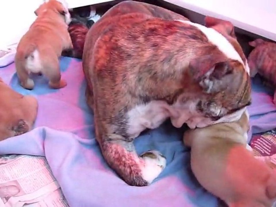 Les premiers jeux avec maman