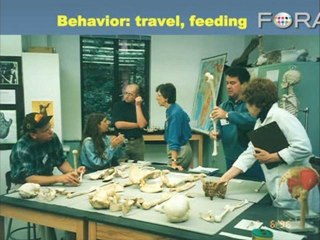 The Making of Tarzan: Where Science and Art Collide