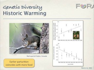 As Temps Rise, Species Shrink and Genetic Diversity Wanes
