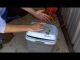 Cut Shad - How To Cut Shad For Catfish Bait - Learn To ...