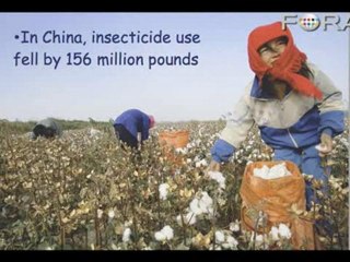 Can Genetic Engineering Be Environmentally Friendly?
