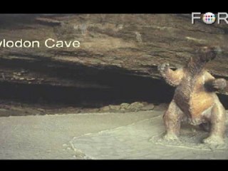 Darwin Discovers Giant Armadillos and Ground Sloths