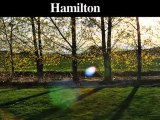 Emergency Tree Removal Service | Hamilton-Hamilton Square-M