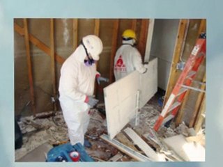 Mold Remediation Buffalo