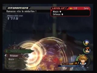 Kingdon Hearts II [31]