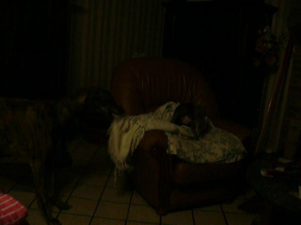 nouvel an 2011 008jeu de Feria