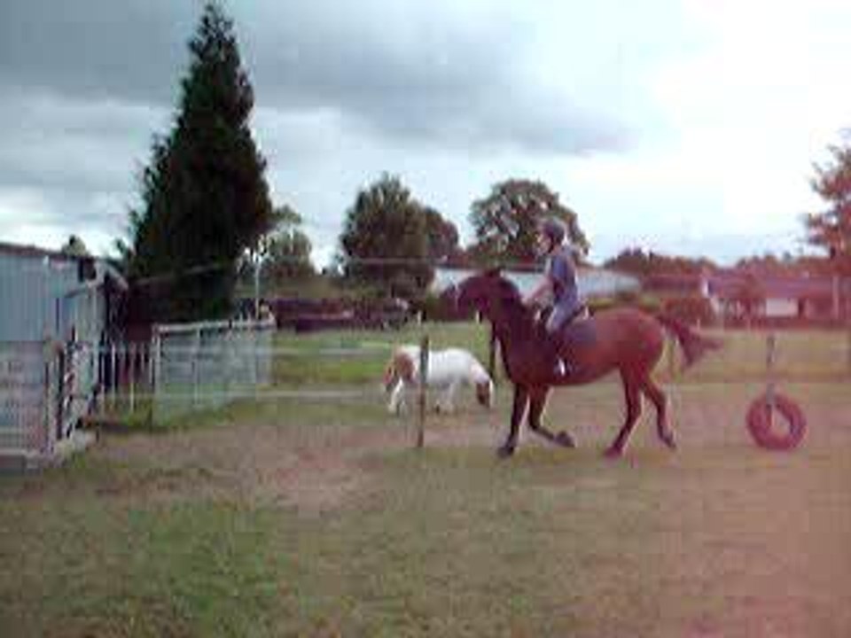 Photo 010
