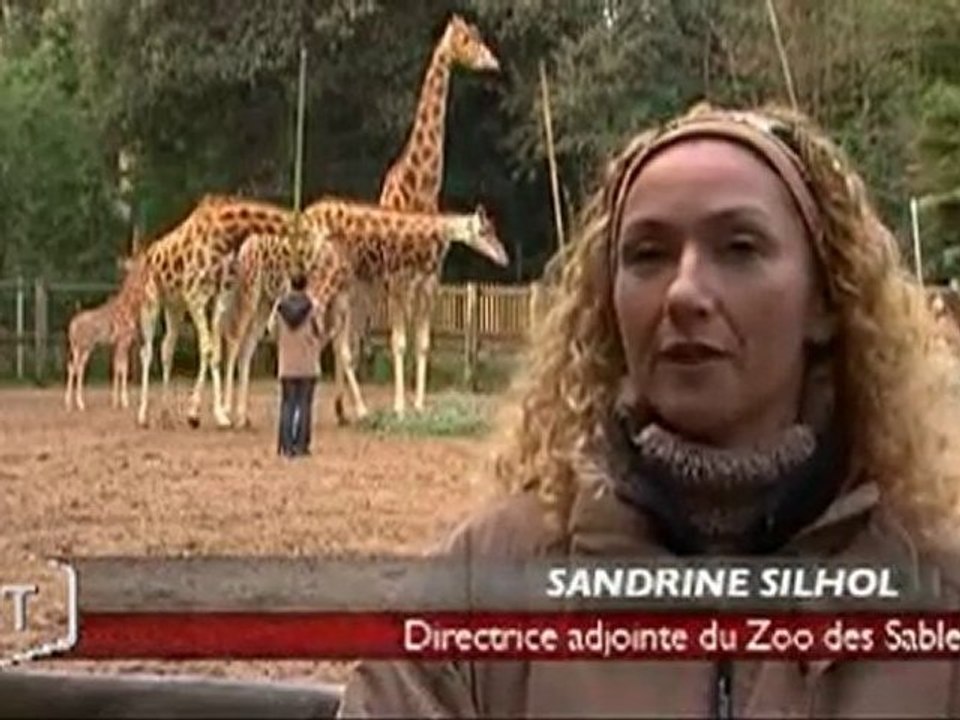 Le zoo des Sables-d’Olonne