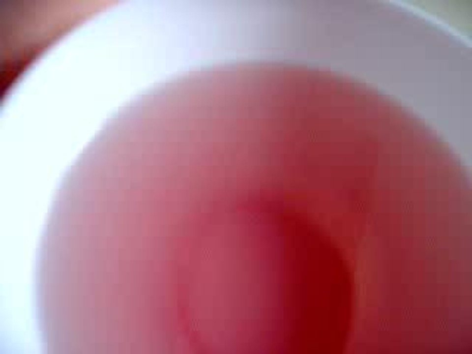 Photo soirée carpet 038