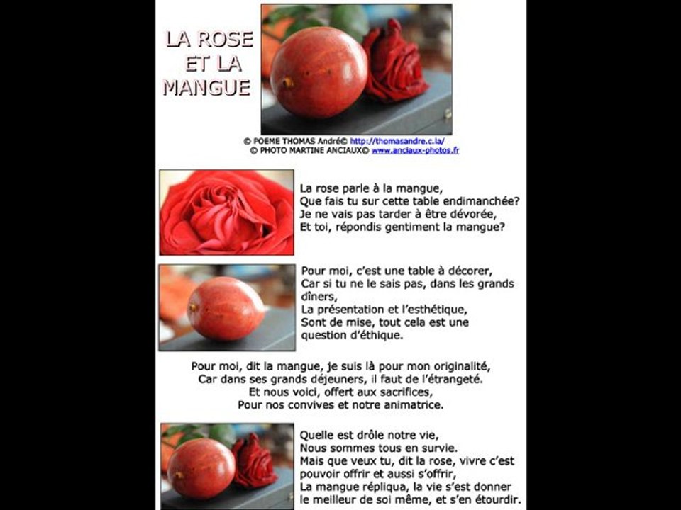 ROSE MANGUE © POEME THOMAS  ANDRE ©PHOTOS MARTINE ANCIAUX©
