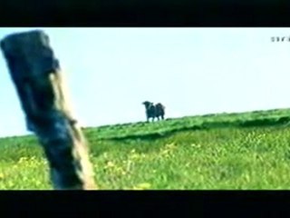 Le Mystère De L'Horloge (2)