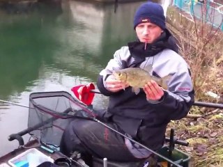 Pêche De Gardons Au Canal De Muntzenheim (Alsace)
