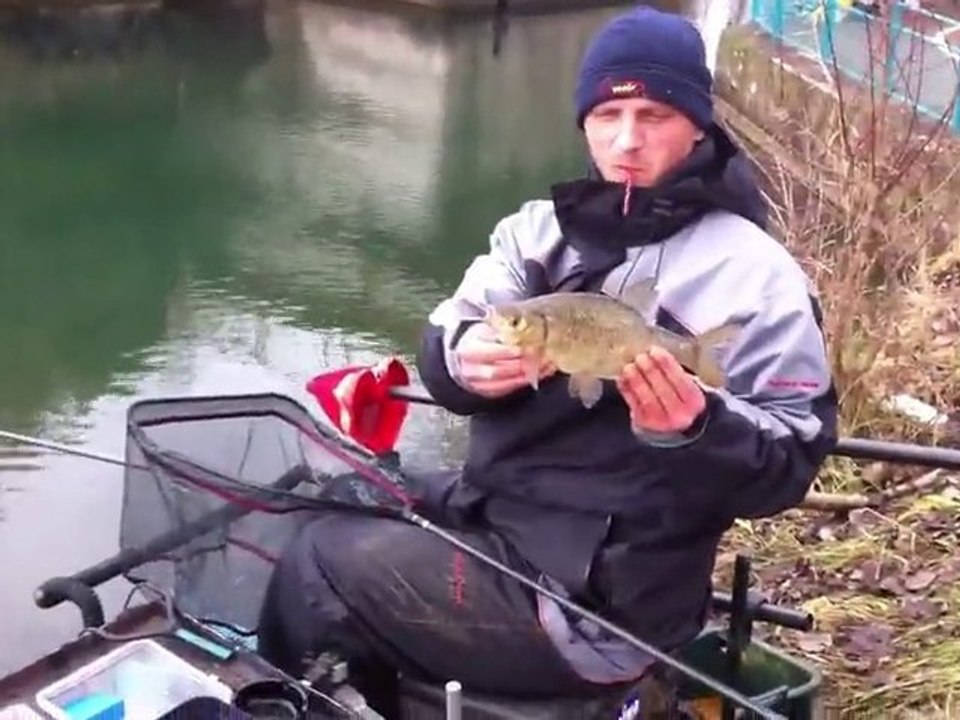 Pêche De Gardons Au Canal De Muntzenheim (Alsace)