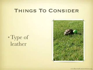 Choosing Your FIrst Baseball Mitt