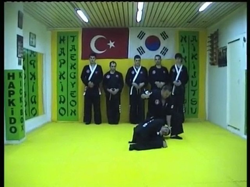 Hapkido savunma ve savaş sanatları . sadık şahin