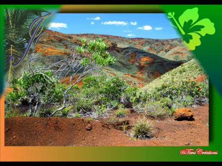 Mon île Tranquille - JEAN-PAUL