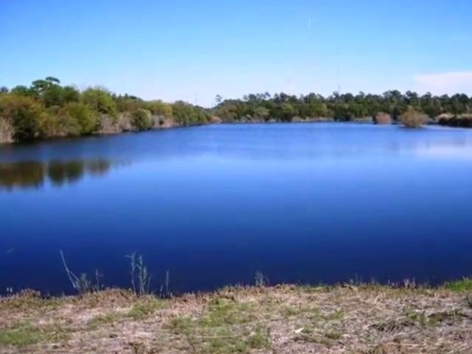 Homes for Sale - 1429 Lettered Olive Ln - Mount Pleasant, SC 29464 - Jeffrey Popper