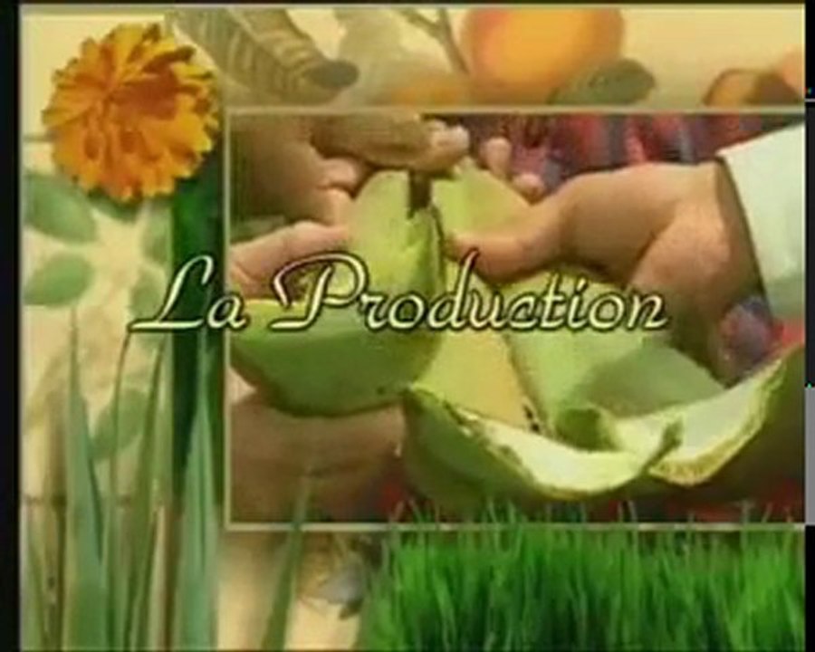 DE LA PLANTE A VOUS