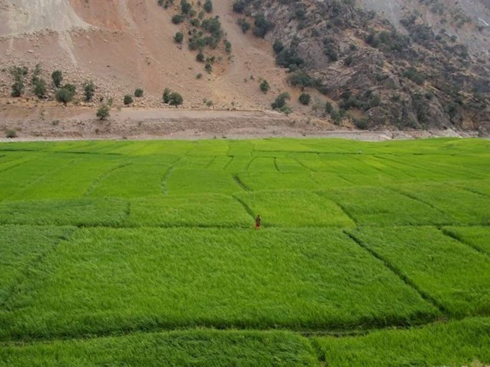 Helen - Khooneyeh Eshgh