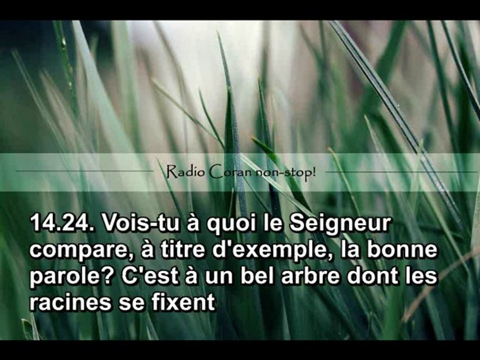 Sourate Ibrahim(13-30) -   Dr. Bandir Baleelh (A méditer !)