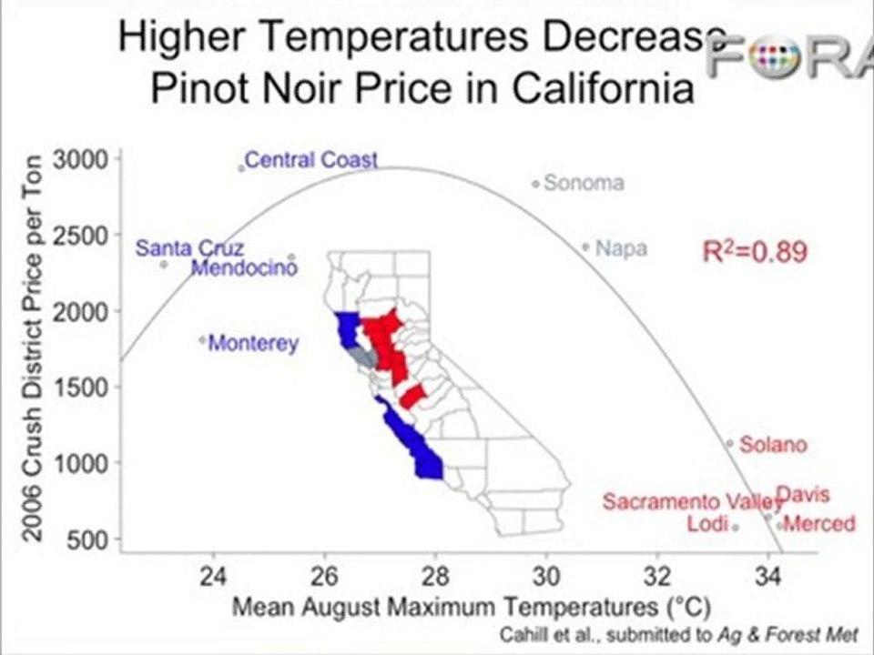 How Global Warming Is Killing California's Wine Buzz