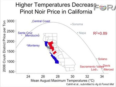 How Global Warming Is Killing California's Wine Buzz