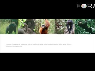 Maya Lin on Dodo Bird and 'Save Two Birds With One Tree'