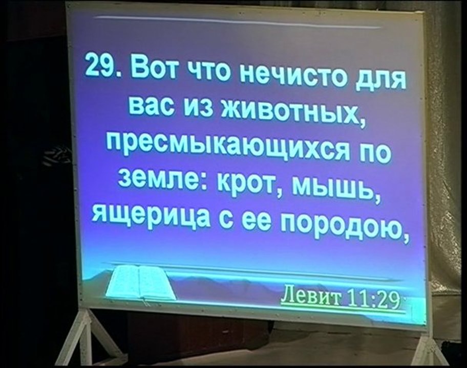 Невинница - проповедь о животных (2)