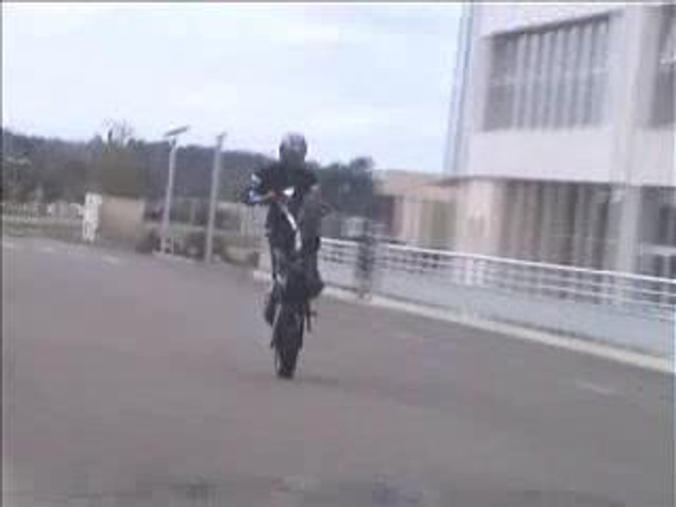 trailerkipicyo1