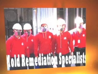 Mold Inspection Glens Falls
