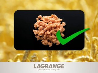 LAGRANGE - Pâtes Créativ® - Short Version - ENG