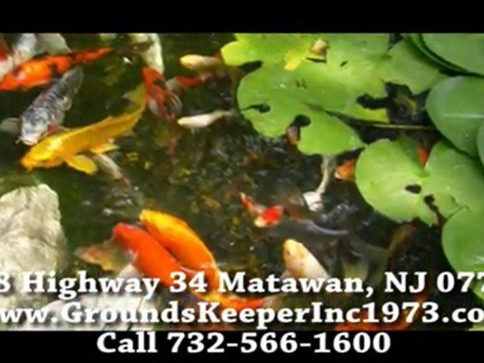 Garden Pond Colts Neck NJ