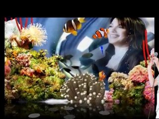 l'aquarium de Majida El Roumi